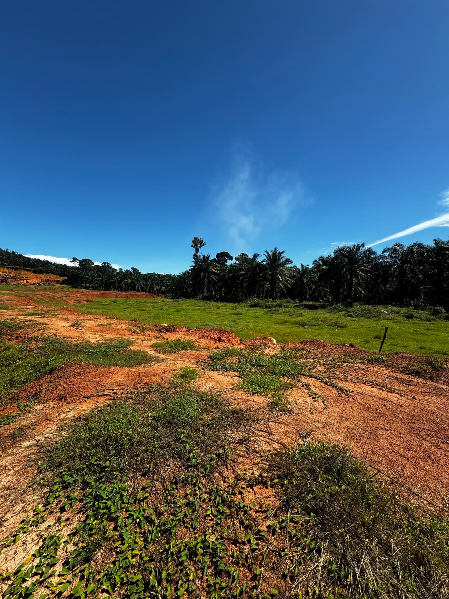LOT 1251 TRONG - Gambar 2