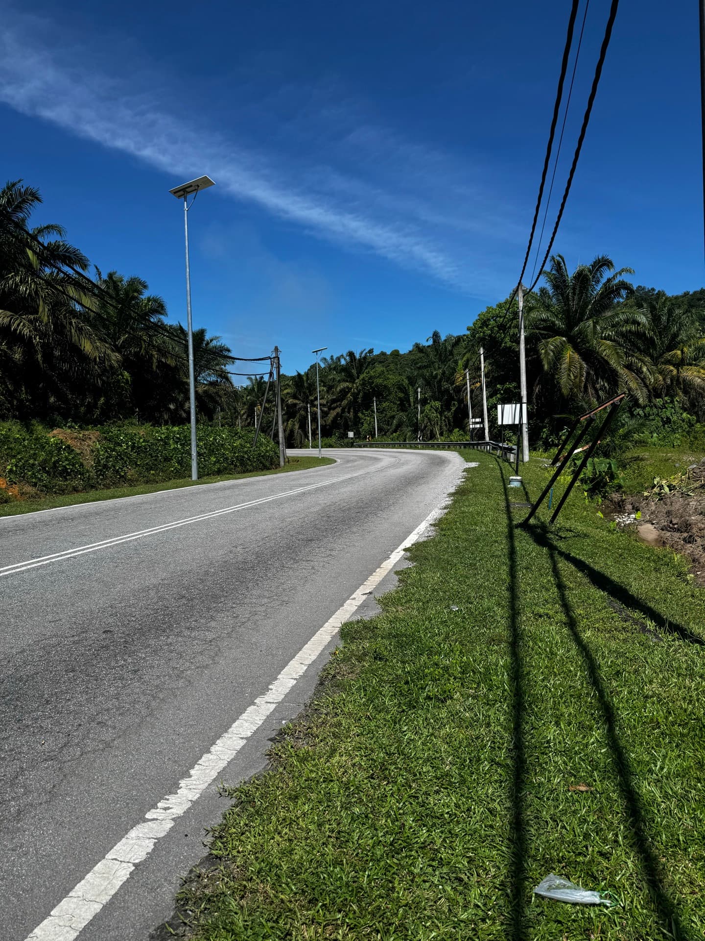 LOT 1251 TRONG - Gambar 6